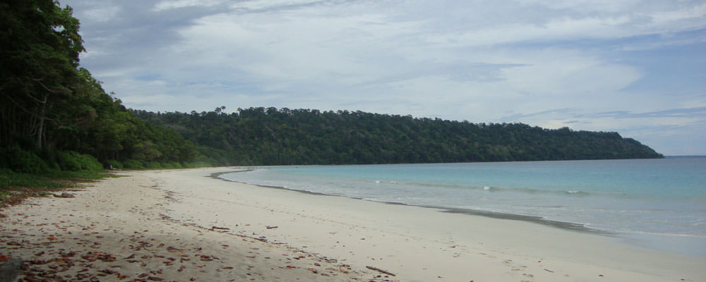 Lamiya Bay
