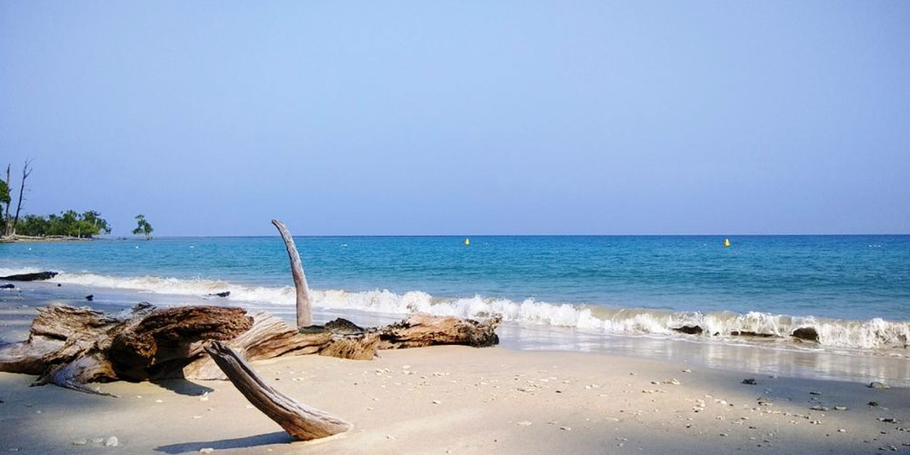 Havelock Elephant Beach & Leisure Tour